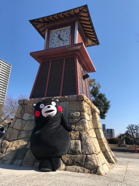 20190223 (92).jpg